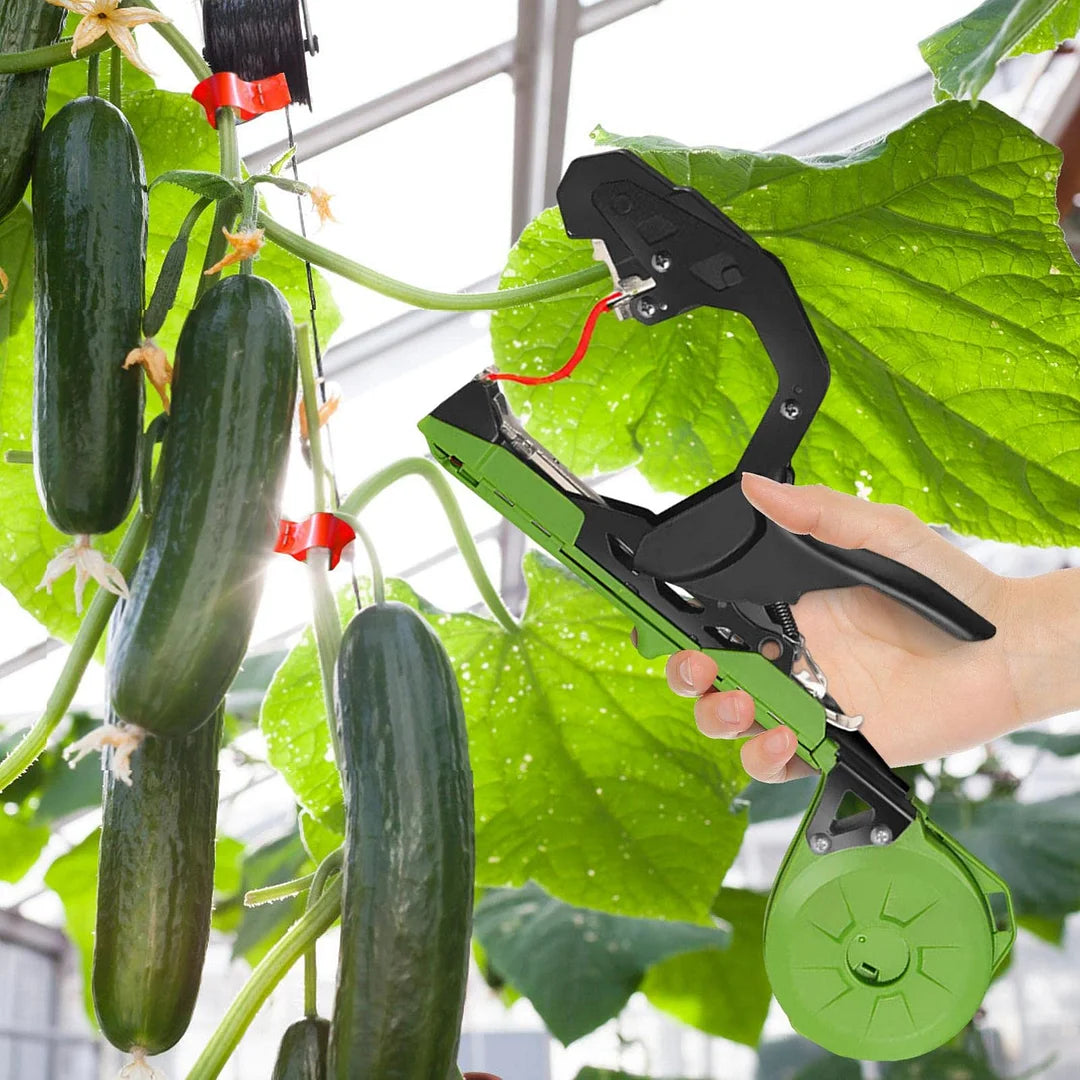 Machine Ă attacher les plantes