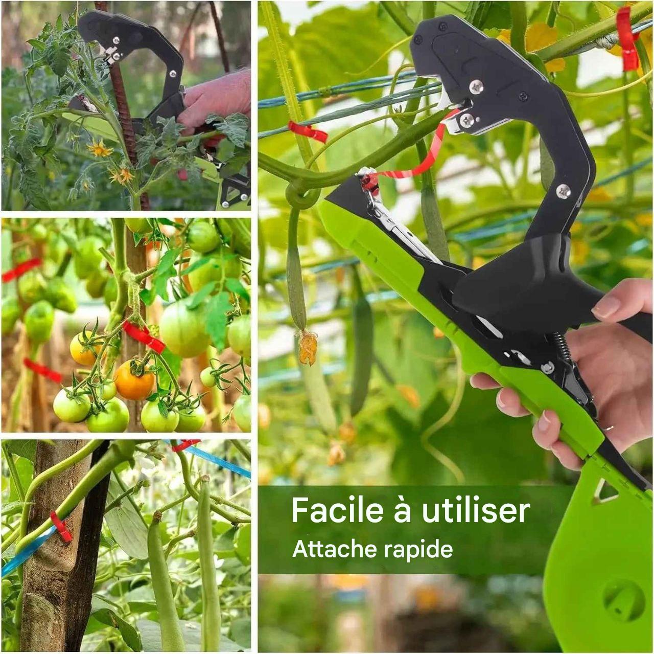 Machine Ă attacher les plantes