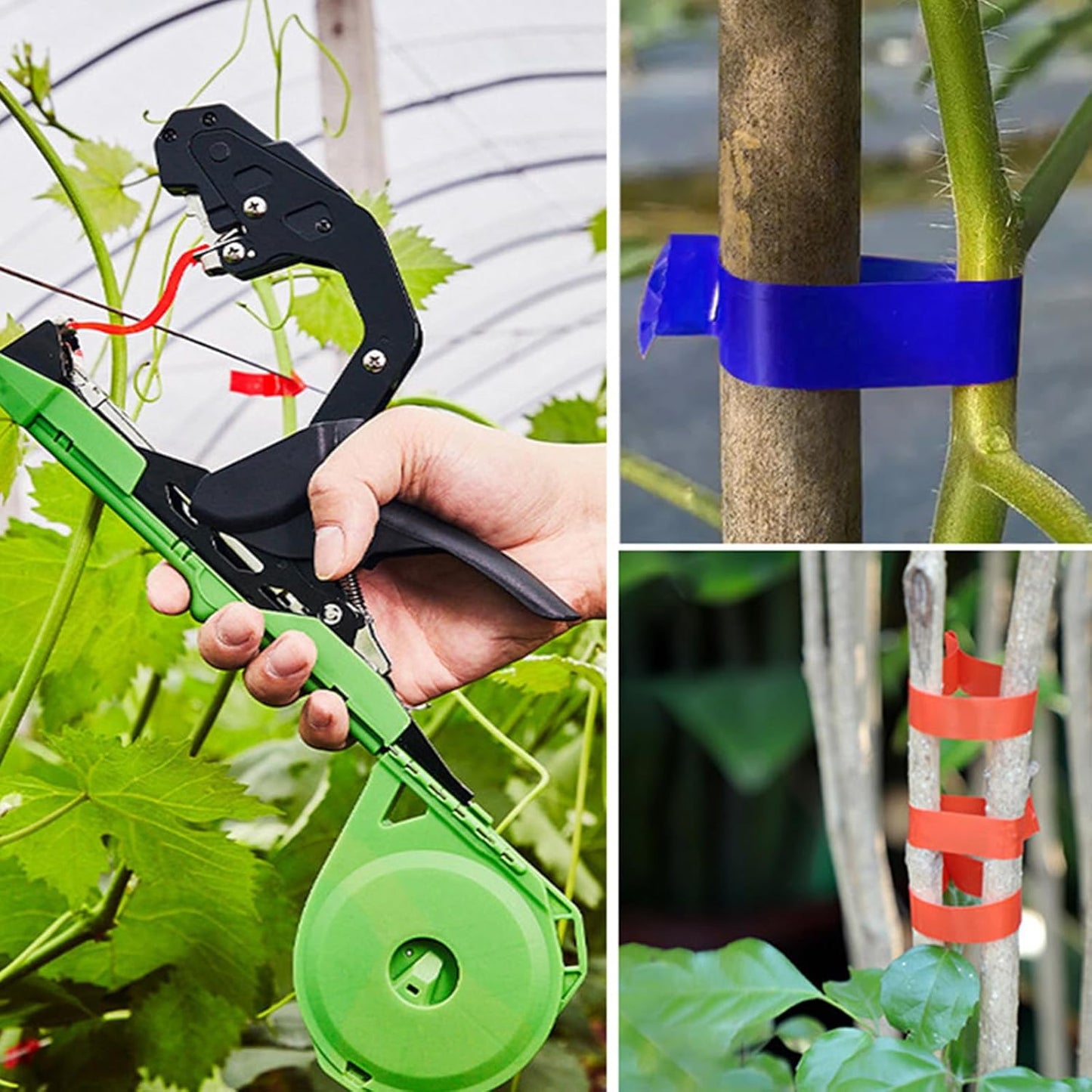 Machine Ă attacher les plantes