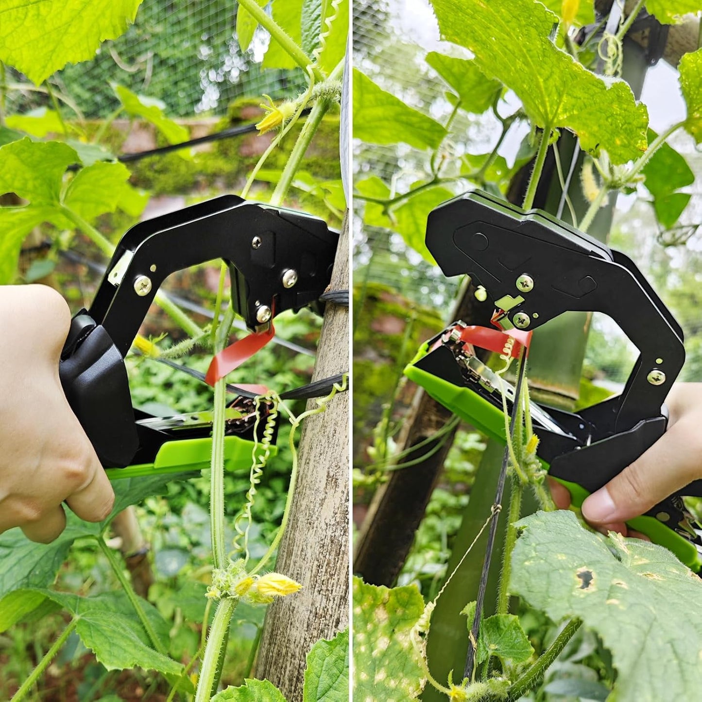 Machine Ă attacher les plantes