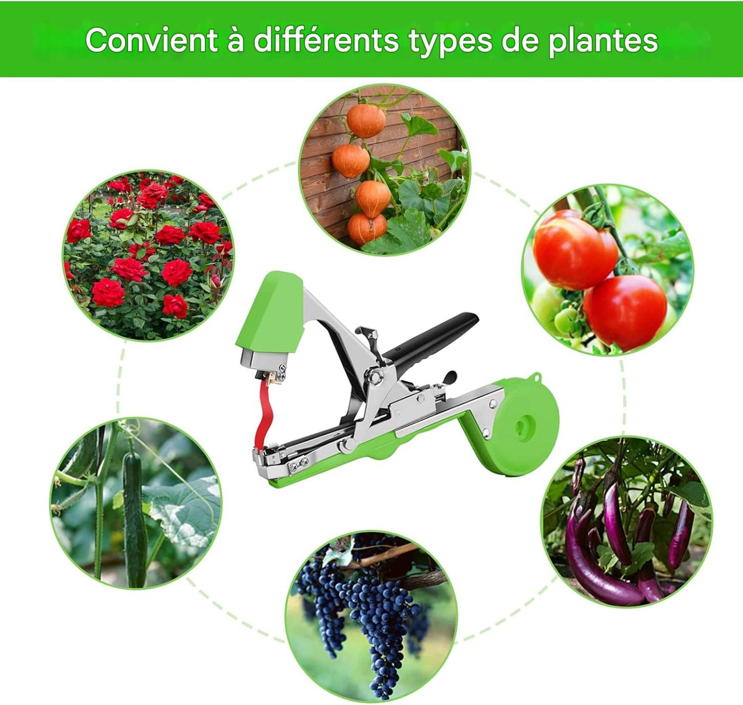 Machine Ă attacher les plantes