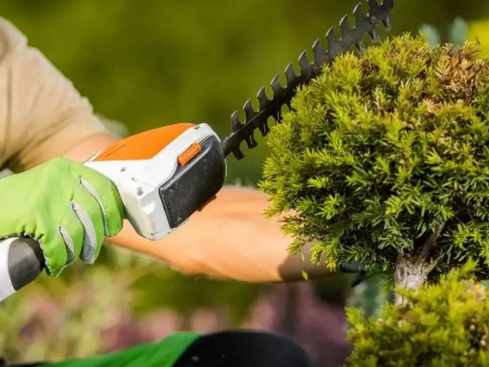 Taille-herbes électrique sans fil