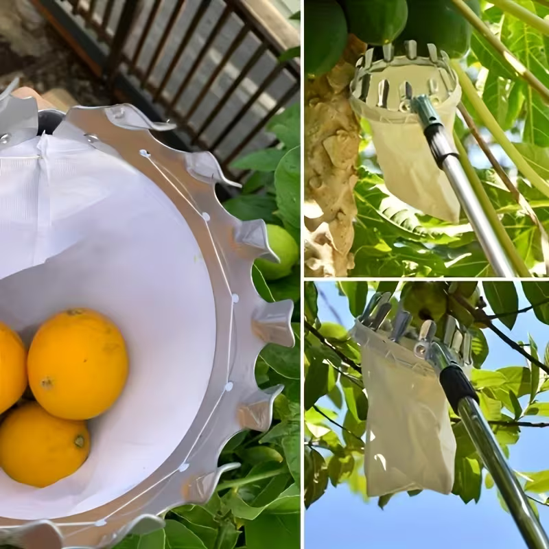 Cueille-Fruits Télescopique en Inox – Manche Extensible 190cm & Panier Tissu