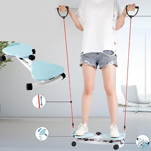 Plaque de Torsion Fitness – Twist Board