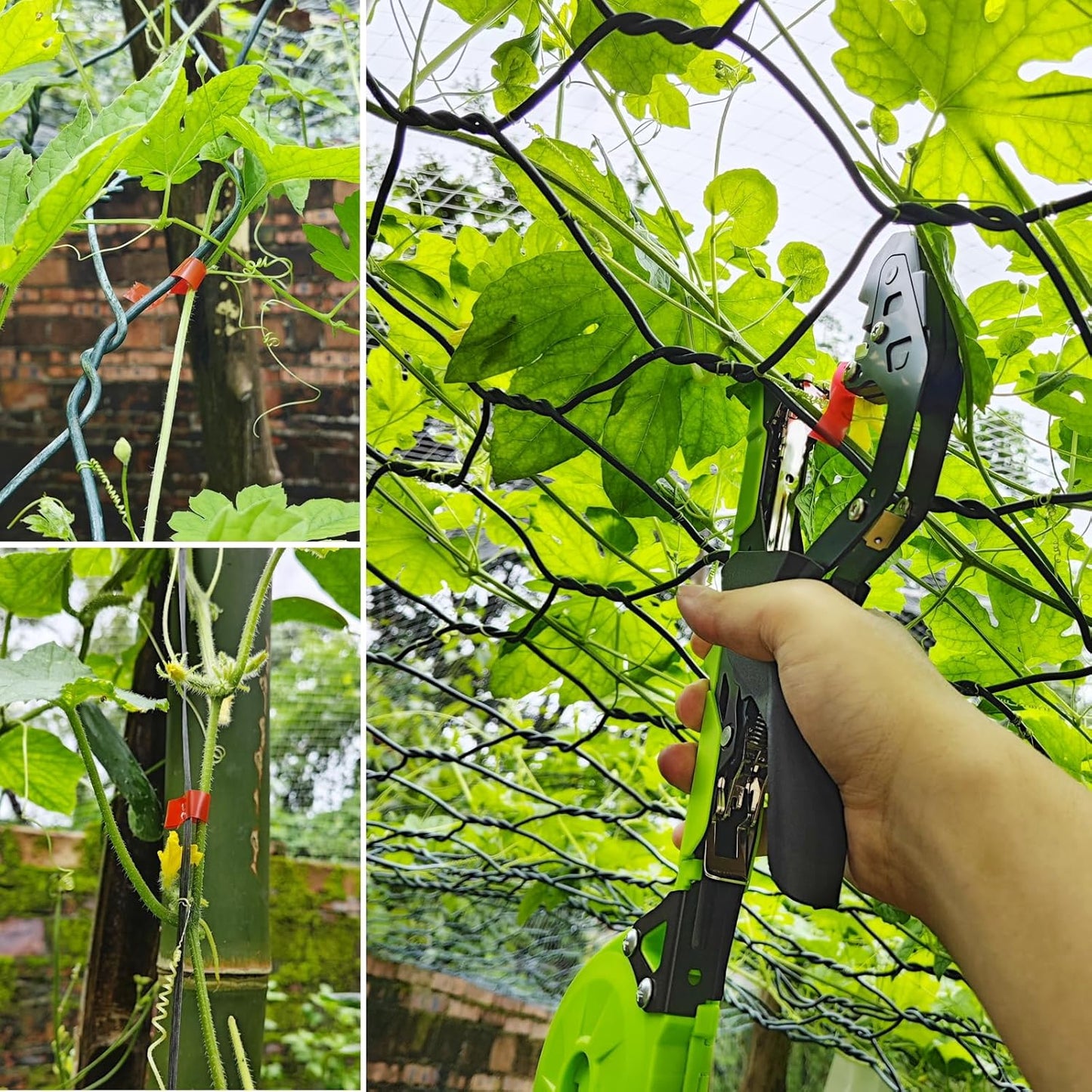 Machine à attacher les plantes