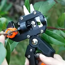 Outil de greffage de semis de vigne, outil à main